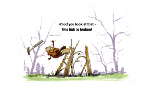Beaver-404
